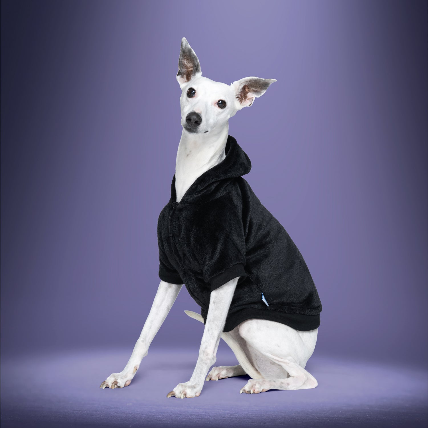 All Black Dog Oodie The Oodie UK