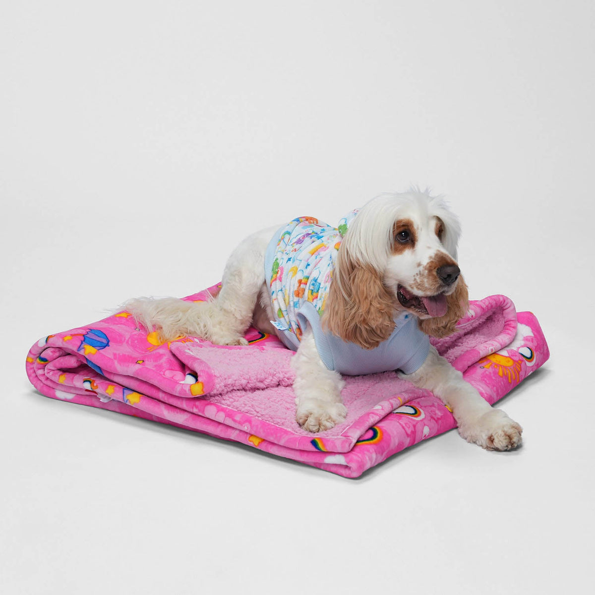 size: Gideon - size M, weight 15kg, age 3