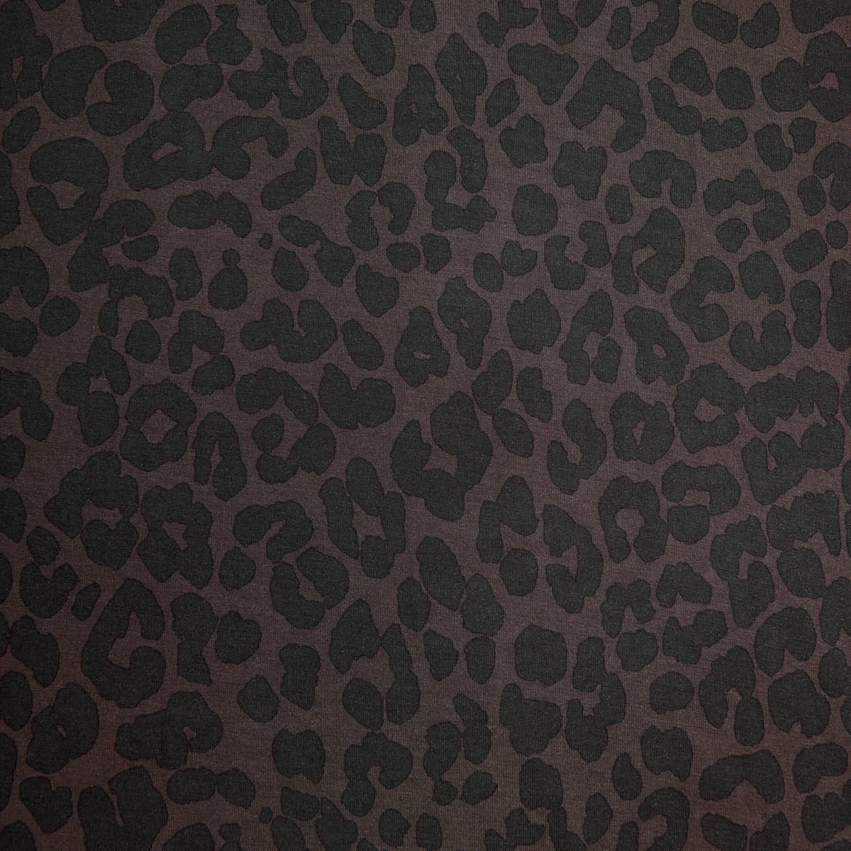Chocolate Leopard