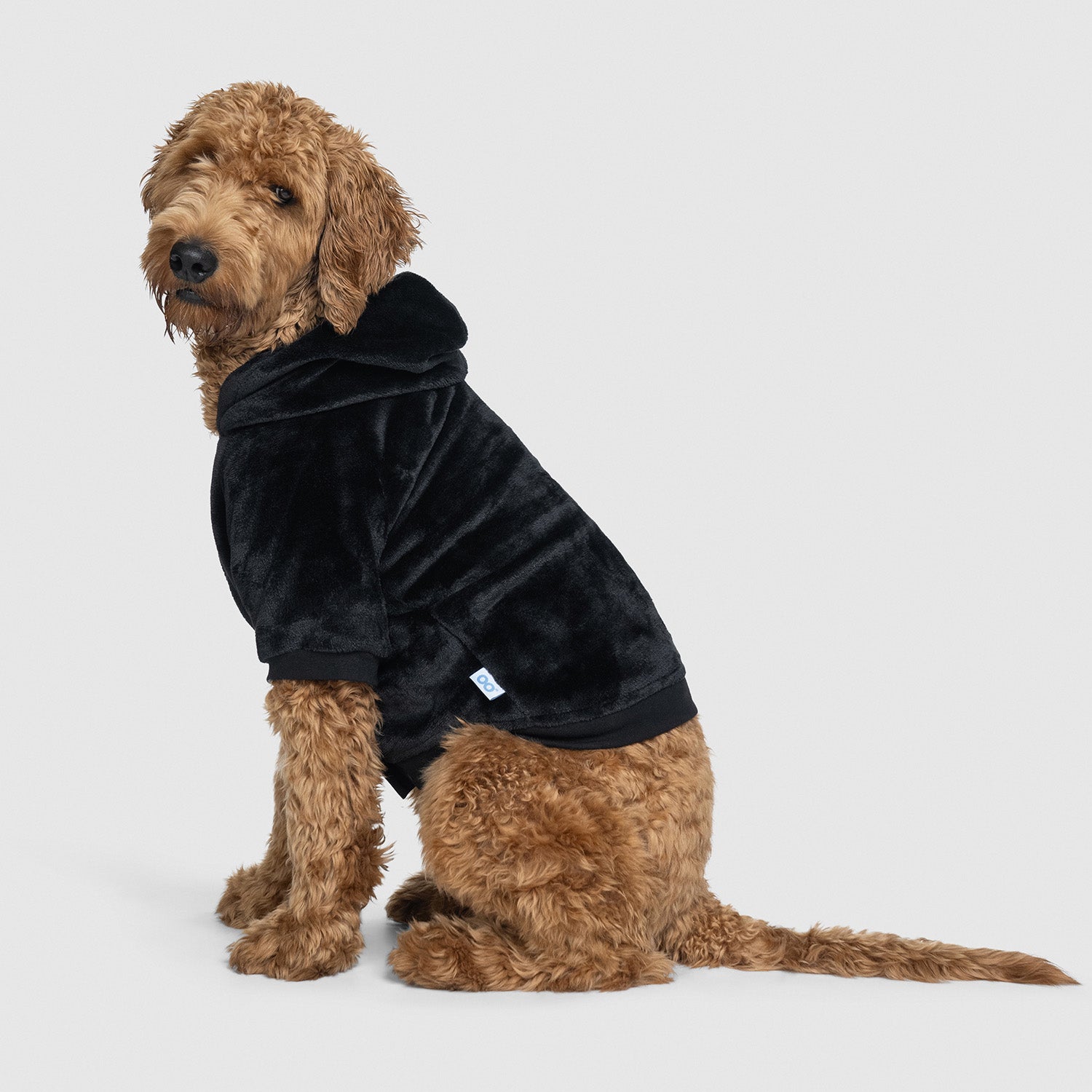 All Black Oodie™ Original Dog – The Oodie UK - Main Image