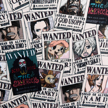 ONE PIECE Wanted Poster