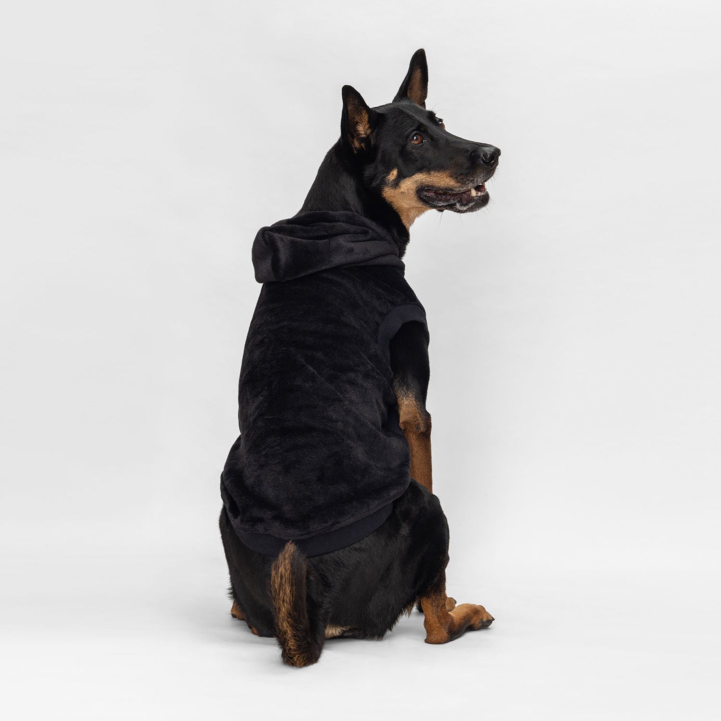 size: Yee Ho - size XL, weight 21kg, age 8