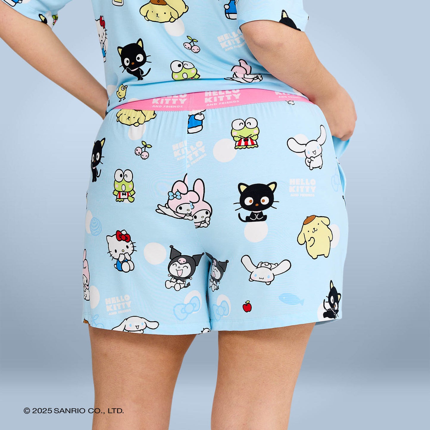 Hello Kitty & Friends