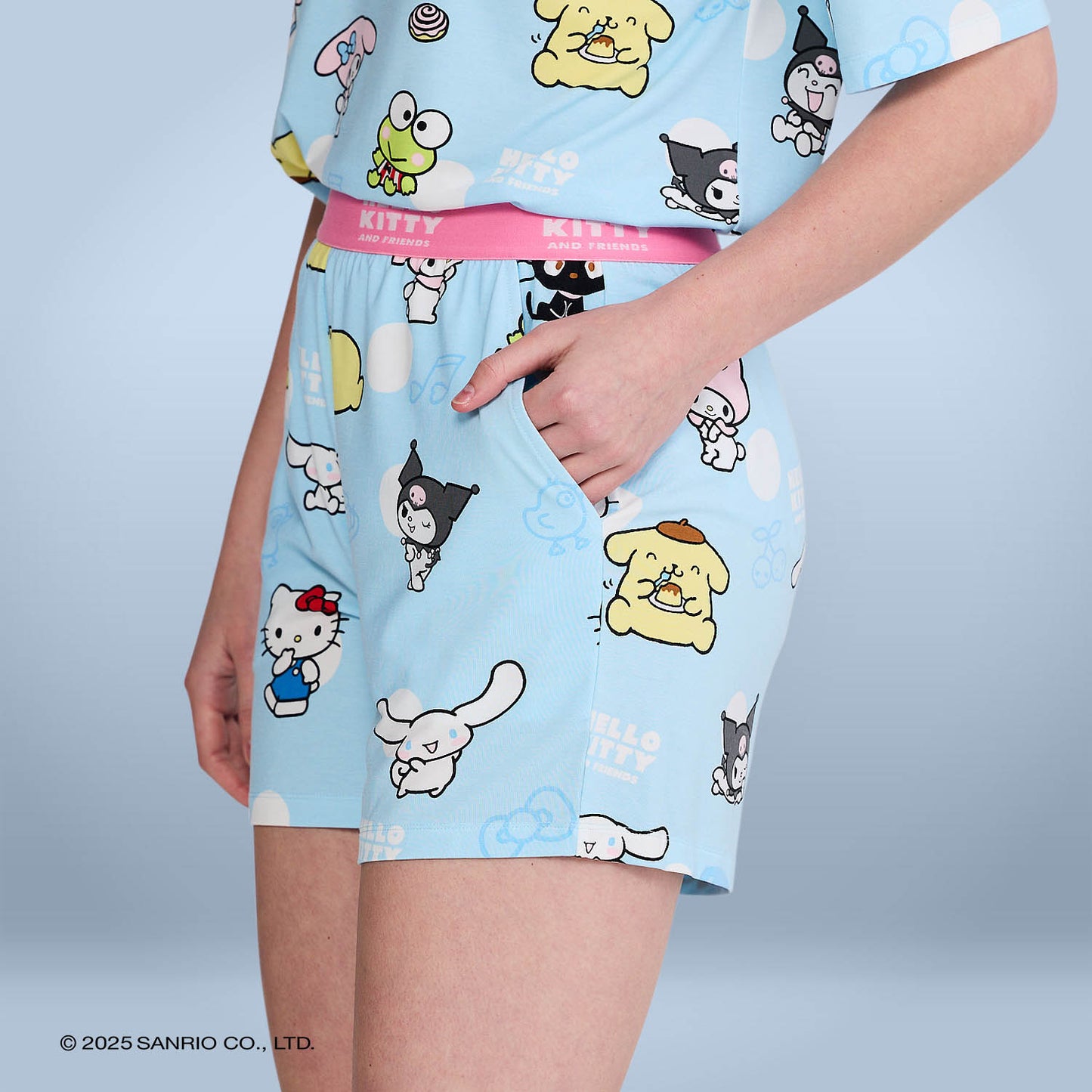 Hello Kitty & Friends