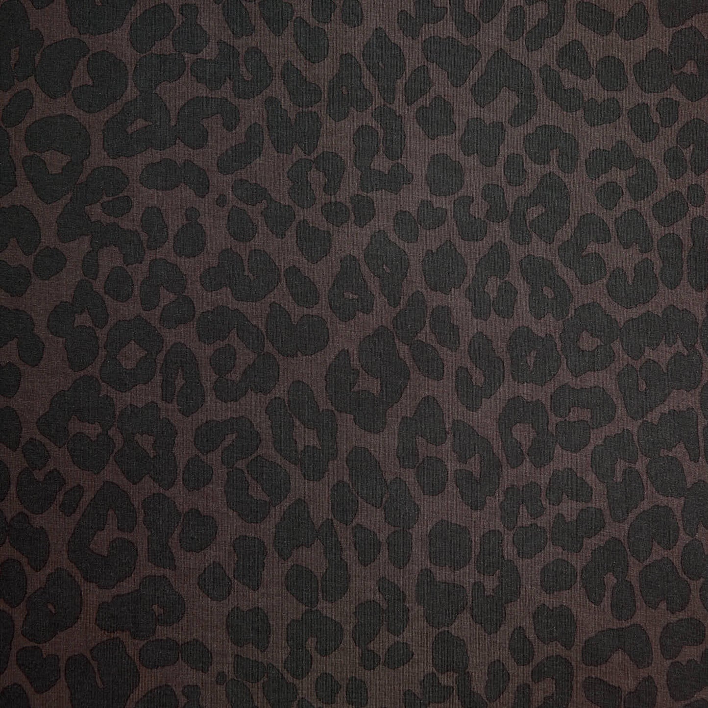 Chocolate Leopard