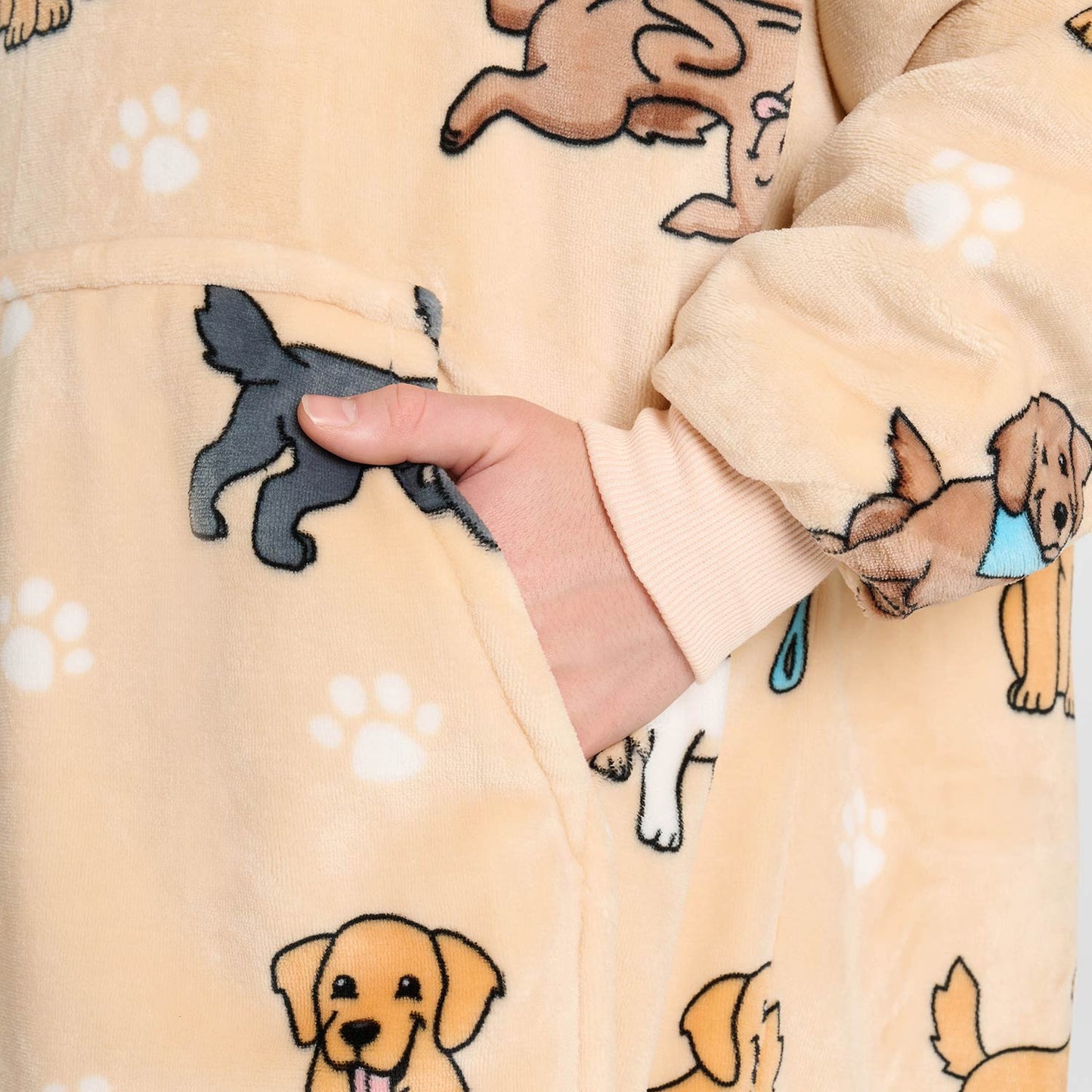Retriever
